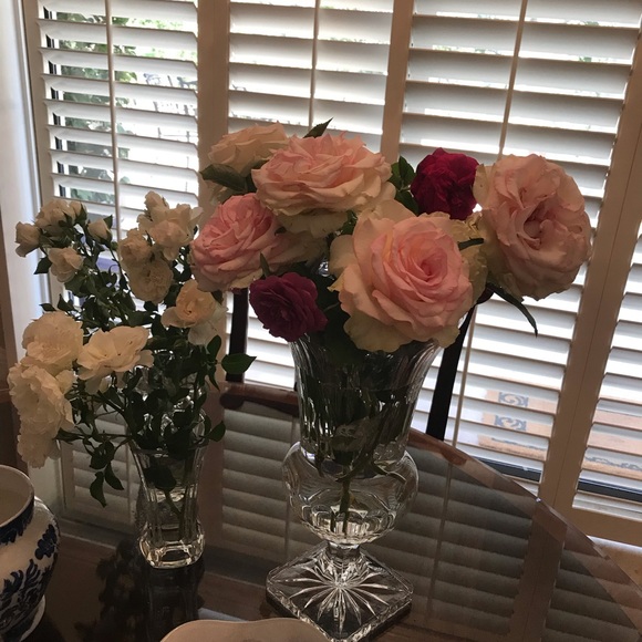 Meet your Posher, Michelle - Picture 1 of 1